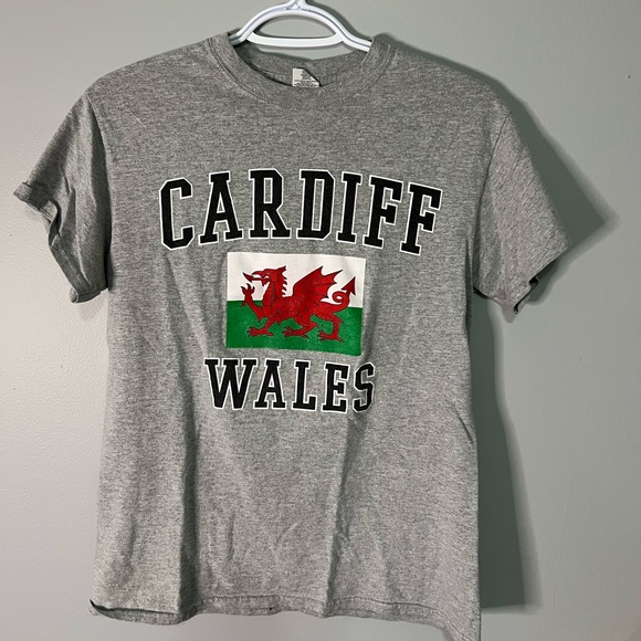 Grey Cardiff, Wales Tshirt in Gildan - Picture 1 of 1